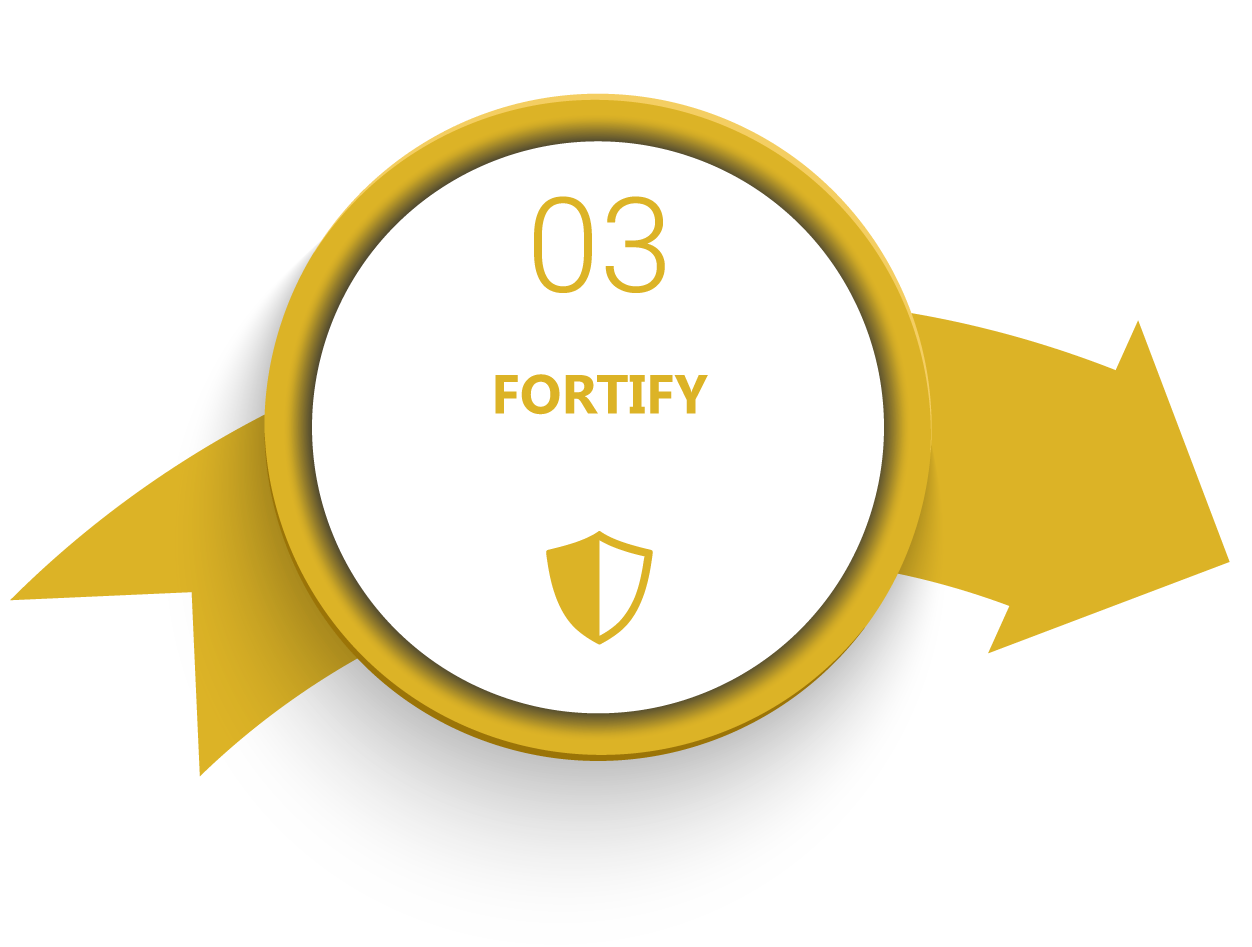 Fortify-1